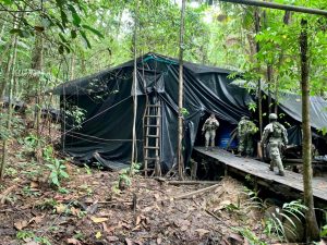 Laboratorios de disidencias y ‘narcos’ siguen operando en Nariño, destruyeron otro que producía 2 toneladas de drogas - Noticias de Colombia