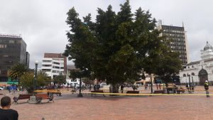 Plaza de Nariño árboles