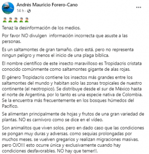 A través de su perfil de Facebook un hombre explico que se trataba de saltamontes de gran tamaño los que aparecieron en el Cauca