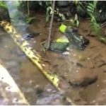 acueductos afectados por las lluvias en Narino 4