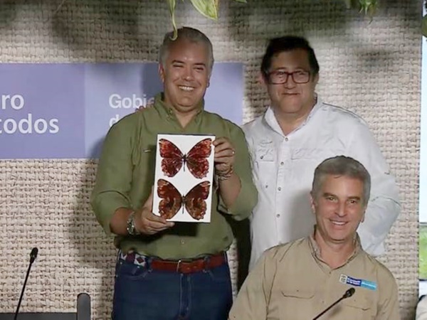 En Nariño descubrieron una nueva especie de mariposa y le llamarán Duque como homenaje al Presidente