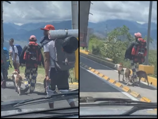 Entre Pasto - Popayán volvieron a ver viajeros caminando con varios perros, denuncian 