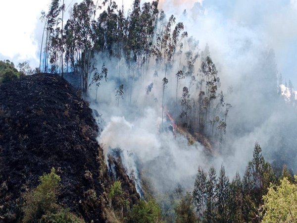 Ipiales en emergencia ambiental: incendio destruyó cinco hectáreas de flora y fauna