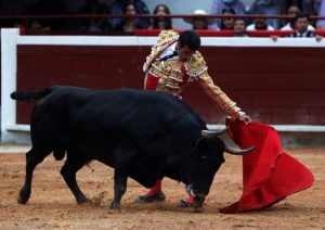 The Senate approved the ban on bullfighting in Colombia, this is how its speakers celebrated the victory