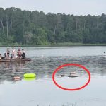 Atrapados en una plataforma terminaron algunas personas ante la presencia de un cocodrilo en el agua