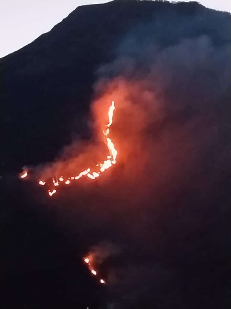 Incendio forestal en Guaitarilla en alerta a autoridades, habitantes temen perder sus viviendas | Noticias de Buenaventura, Colombia y el Mundo