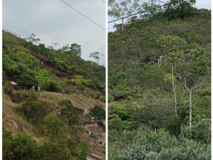 Cerros de Cali otra vez amenazados por ¿invasores?: hay un grupo en Tamayo, Los Chorros