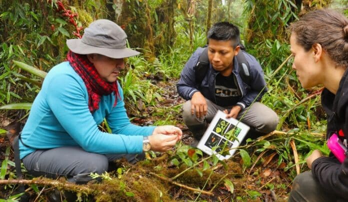 Biólogo vallecaucano propone hacer turismo con orquídeas. Foto: Cortesía CVC
