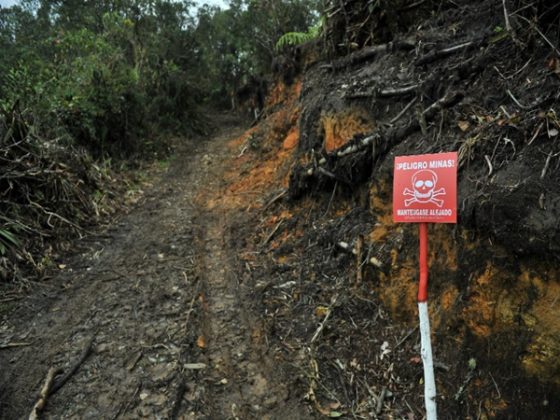 Se identificó que en el departamento de Nariño, Tumaco es la región con el mayor número de afectados de minas antipersonal.
